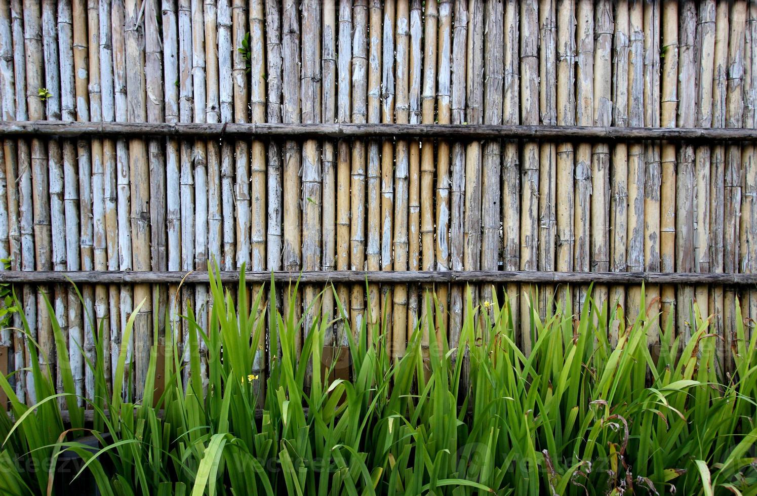 Bamboo wall with grass at the bottom photo