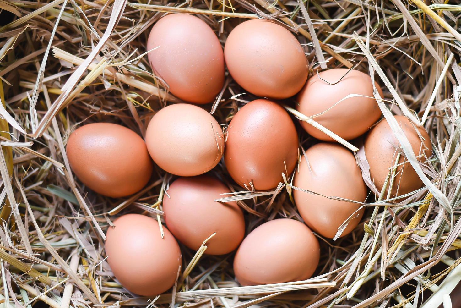 vista superior de cerca muchos huevos frescos sobre fondo de paja de madera, huevos de pascua en vacaciones de pascua. foto