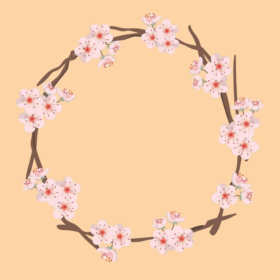 Cherry blossom branches frame. Flowers isolated on a pink background vector