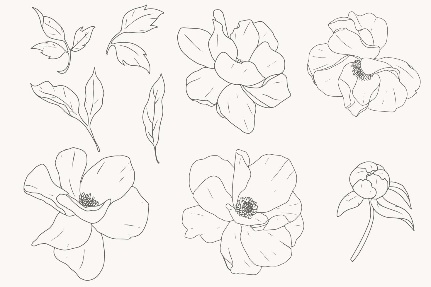 doodle line art peony flower elements collection vector