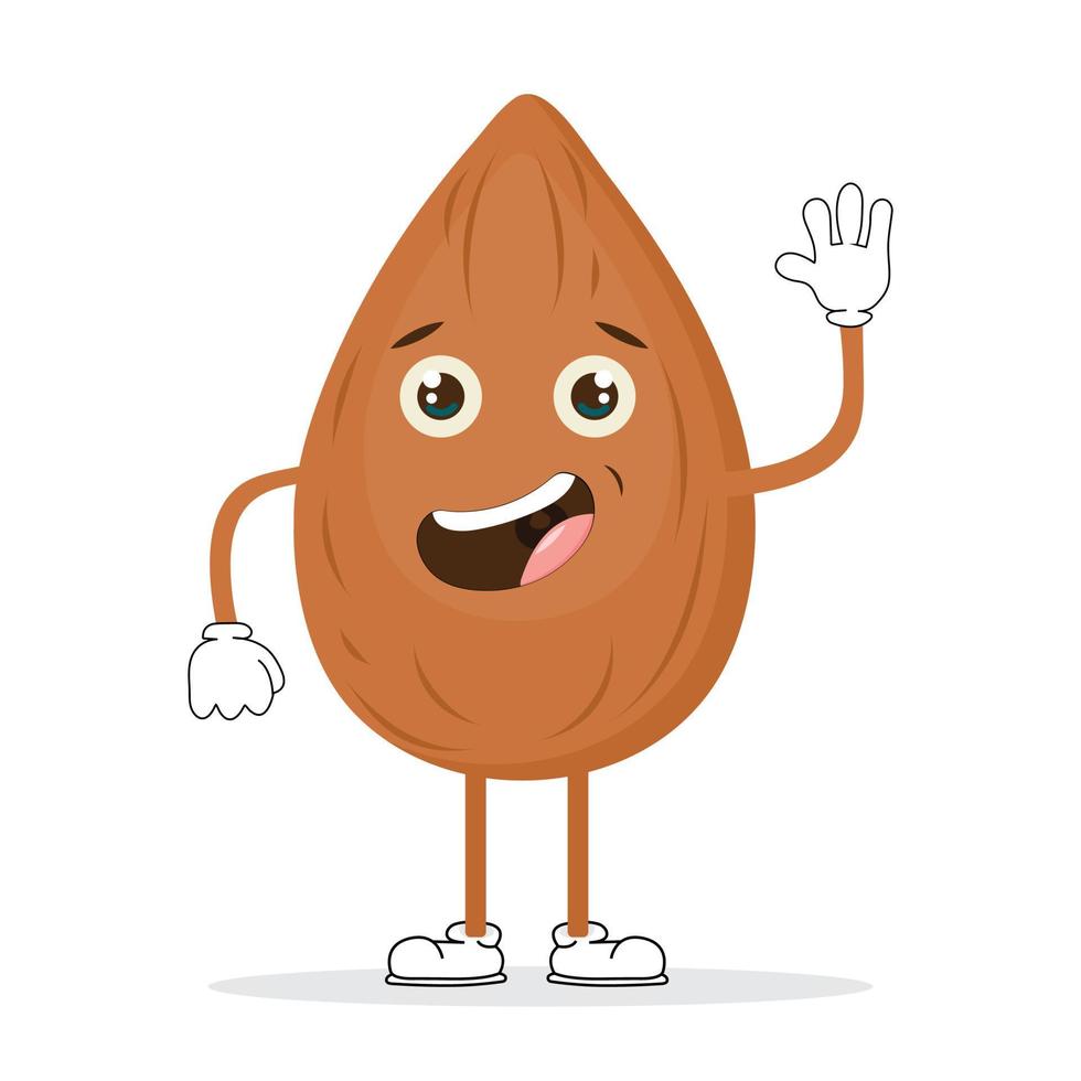 cute almonds vector image