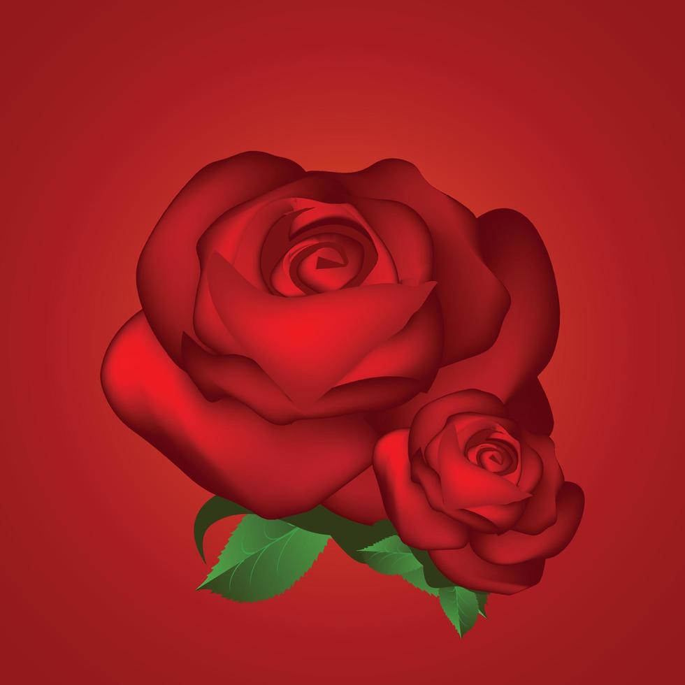 Realistic rose vector