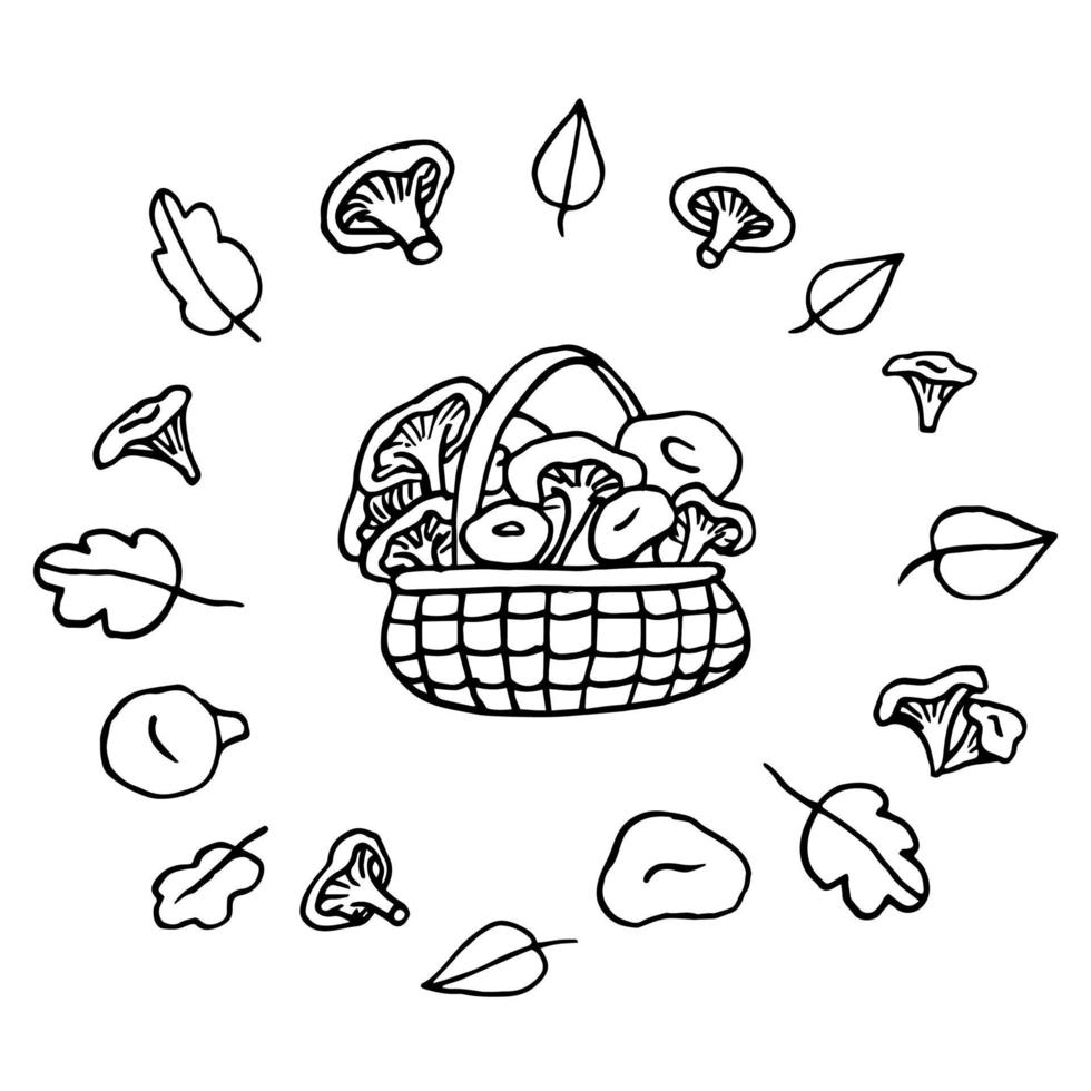 Mushrooms in a basket, mushrooms and leaves around the basket vector