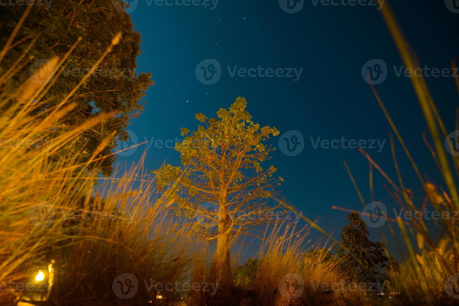 paisaje nocturno hermoso natural con estrellas en la noche. foto