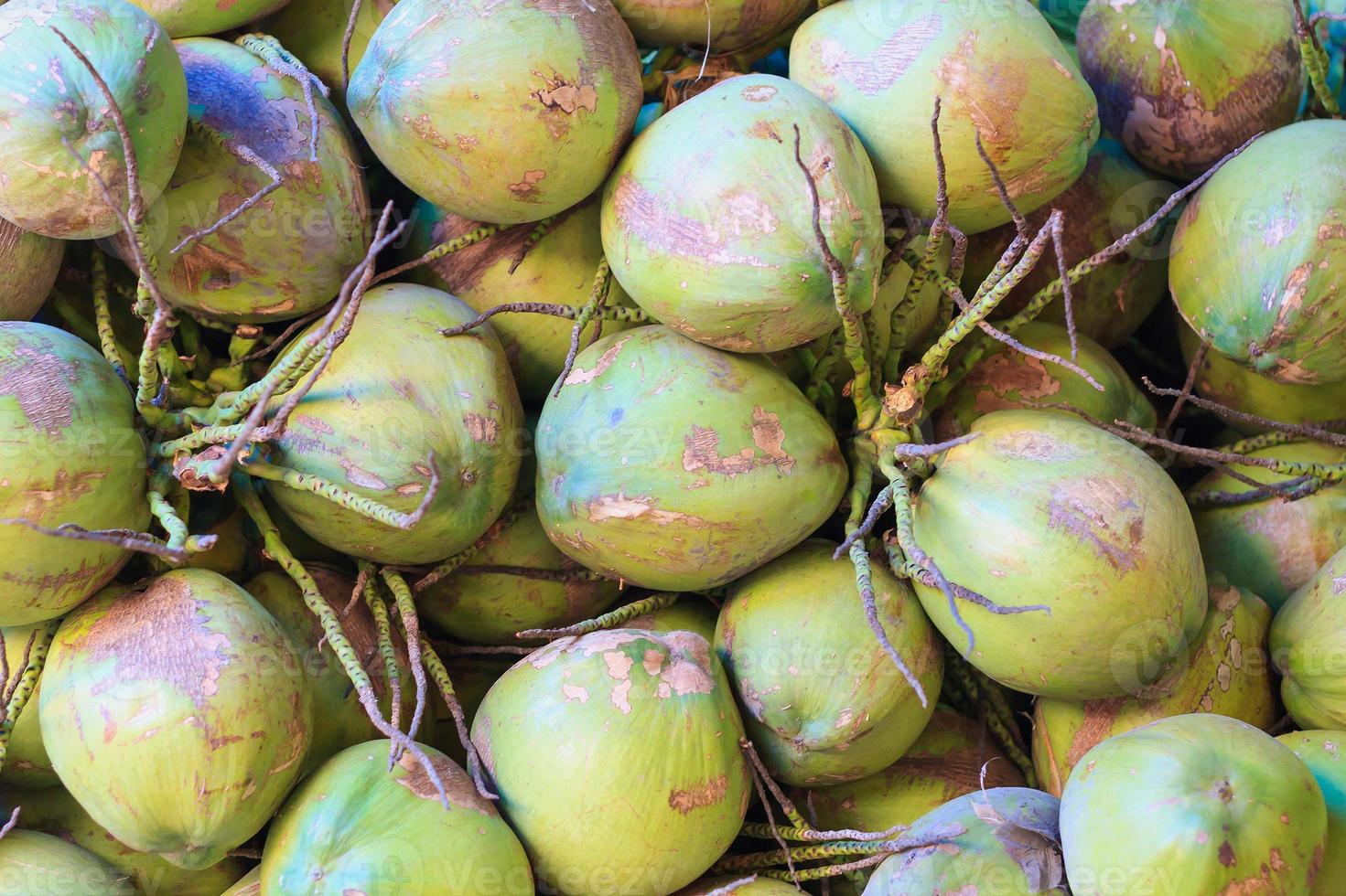 coconuts in the market photo