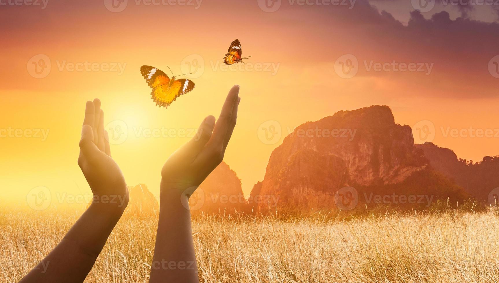 la niña libera a la mariposa del concepto de momento de libertad foto