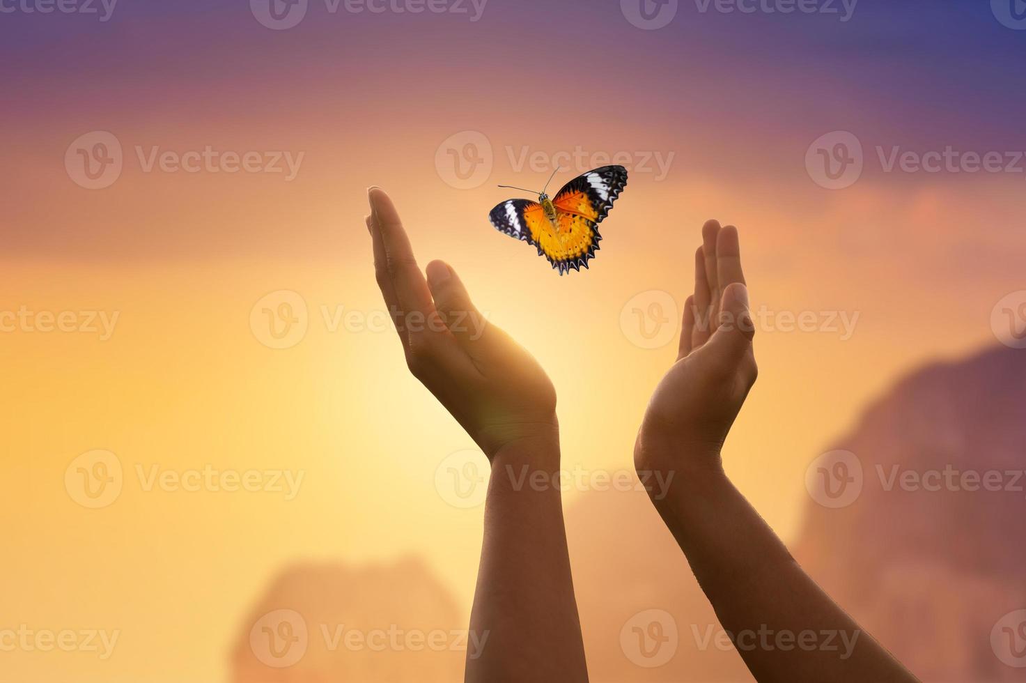 The girl frees the butterfly from  moment Concept of freedom photo