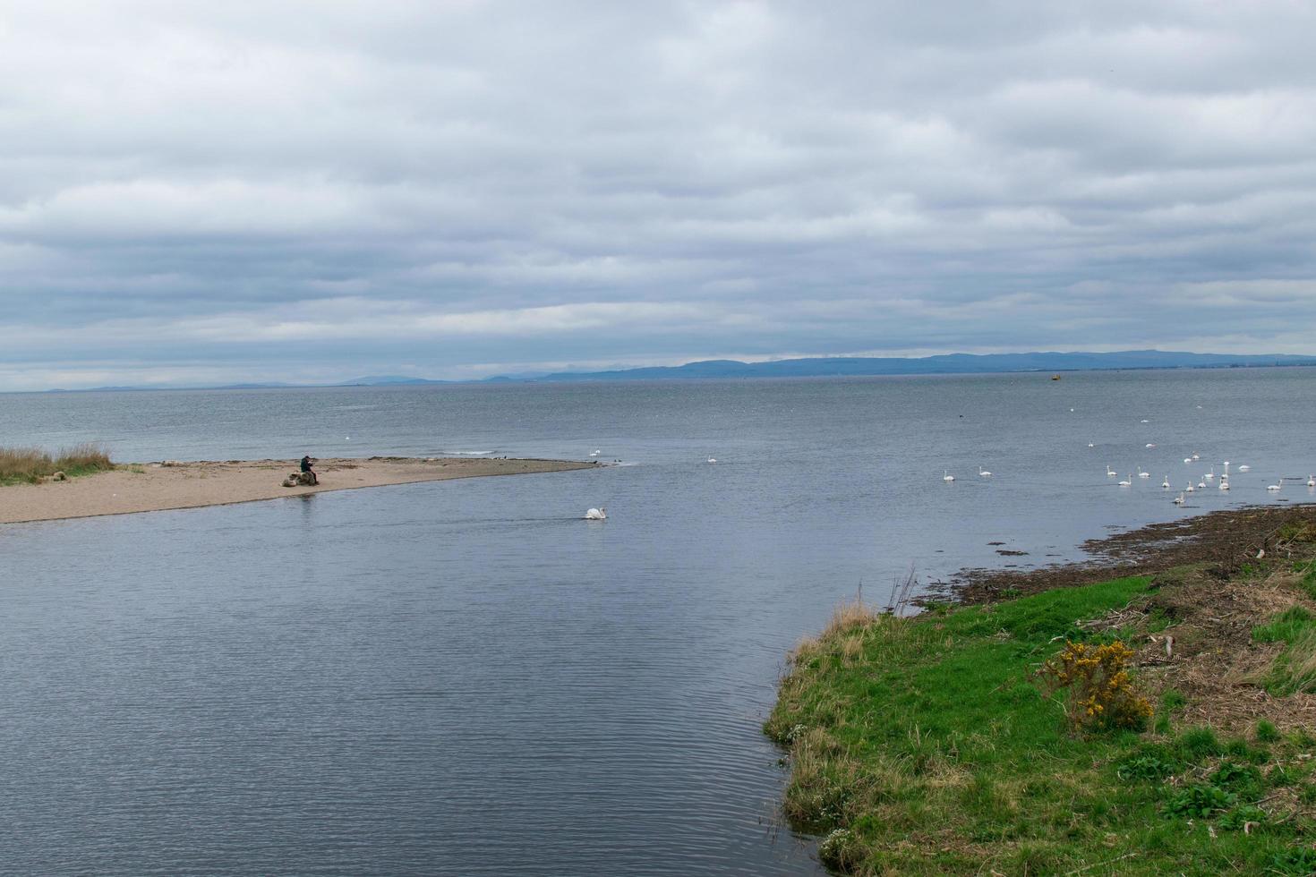 hombres no identificados almorzando y viendo cisnes y gaviotas en el agua foto