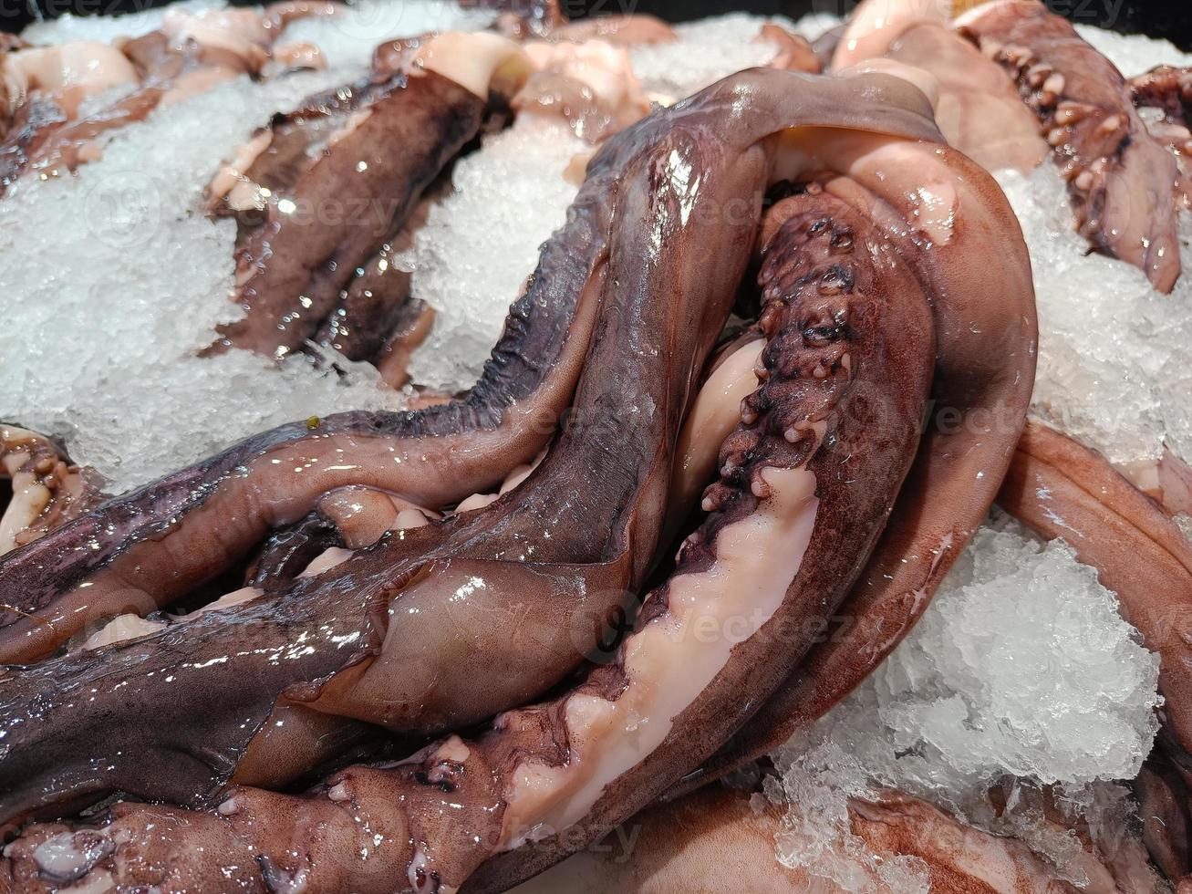 Giant purple squid legs on ice sale in the market. photo