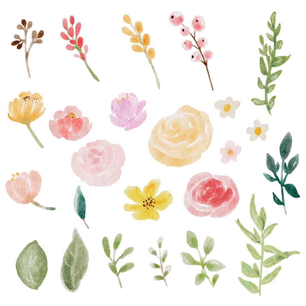 rosas de colores acuarela sueltas y elementos de ramo de flores silvestres aislados en la pintura digital de fondo blanco vector