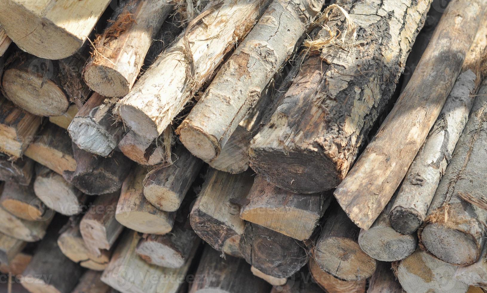 Wood logs for heating and fire cooking photo