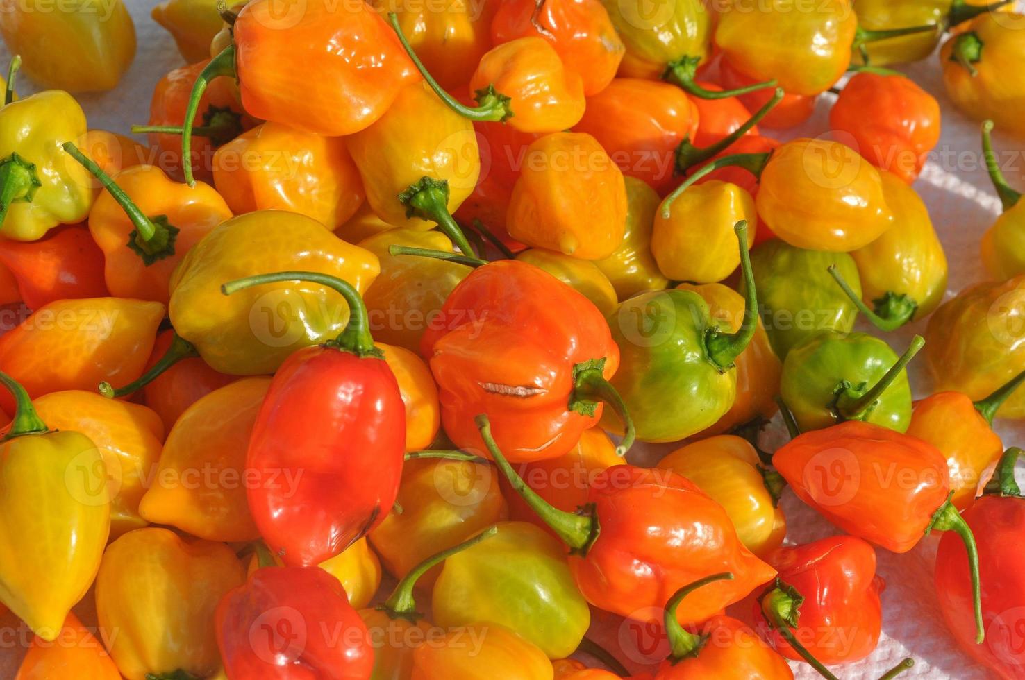 Red peppers vegetables photo