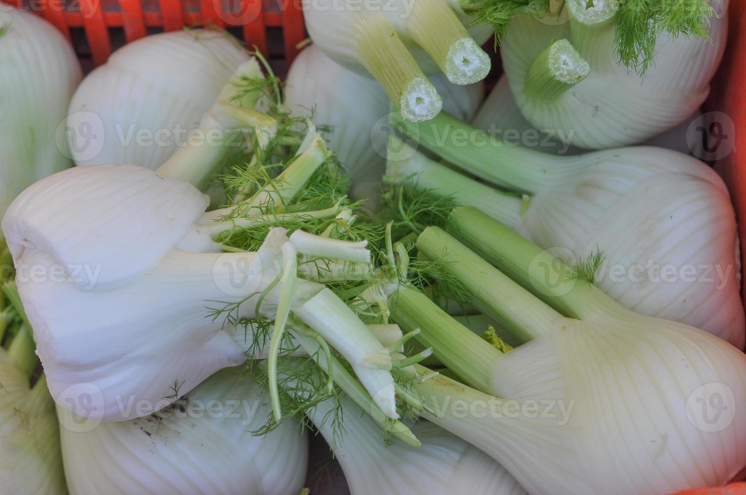 hinojo verduras saludable comida vegetariana cocina foto