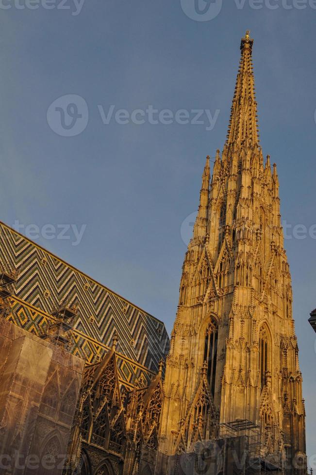 stephansdom catedral de san esteban en viena foto