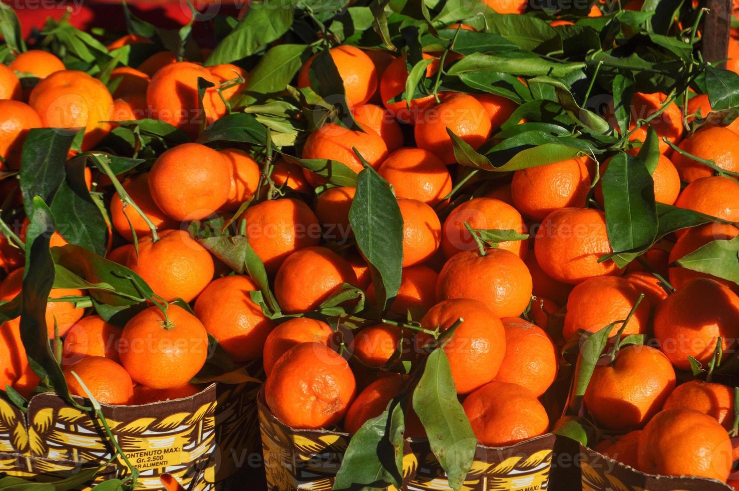 comida de fruta mandarina foto