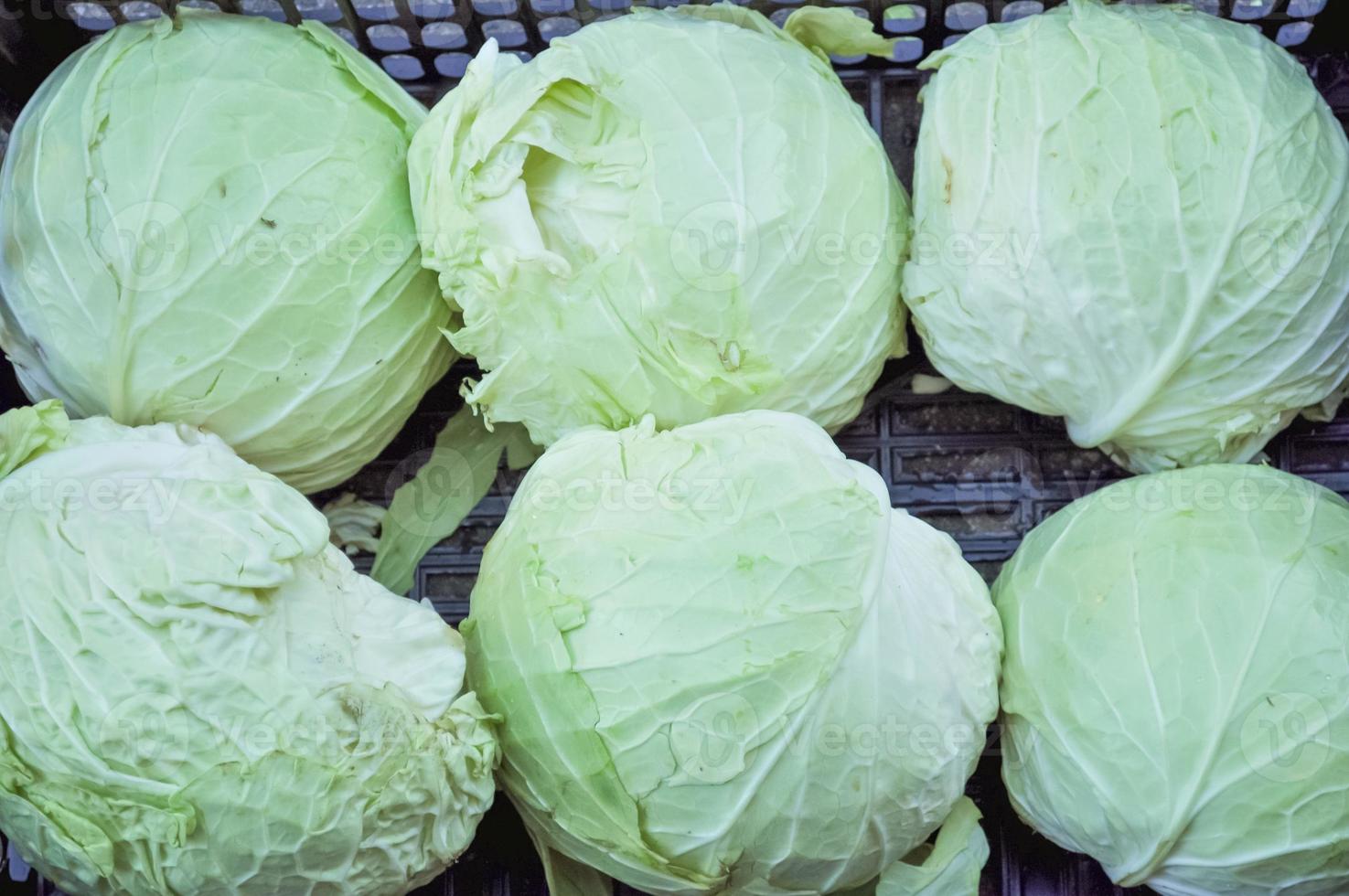 Cabbages vegetables in crate on a market shelf photo