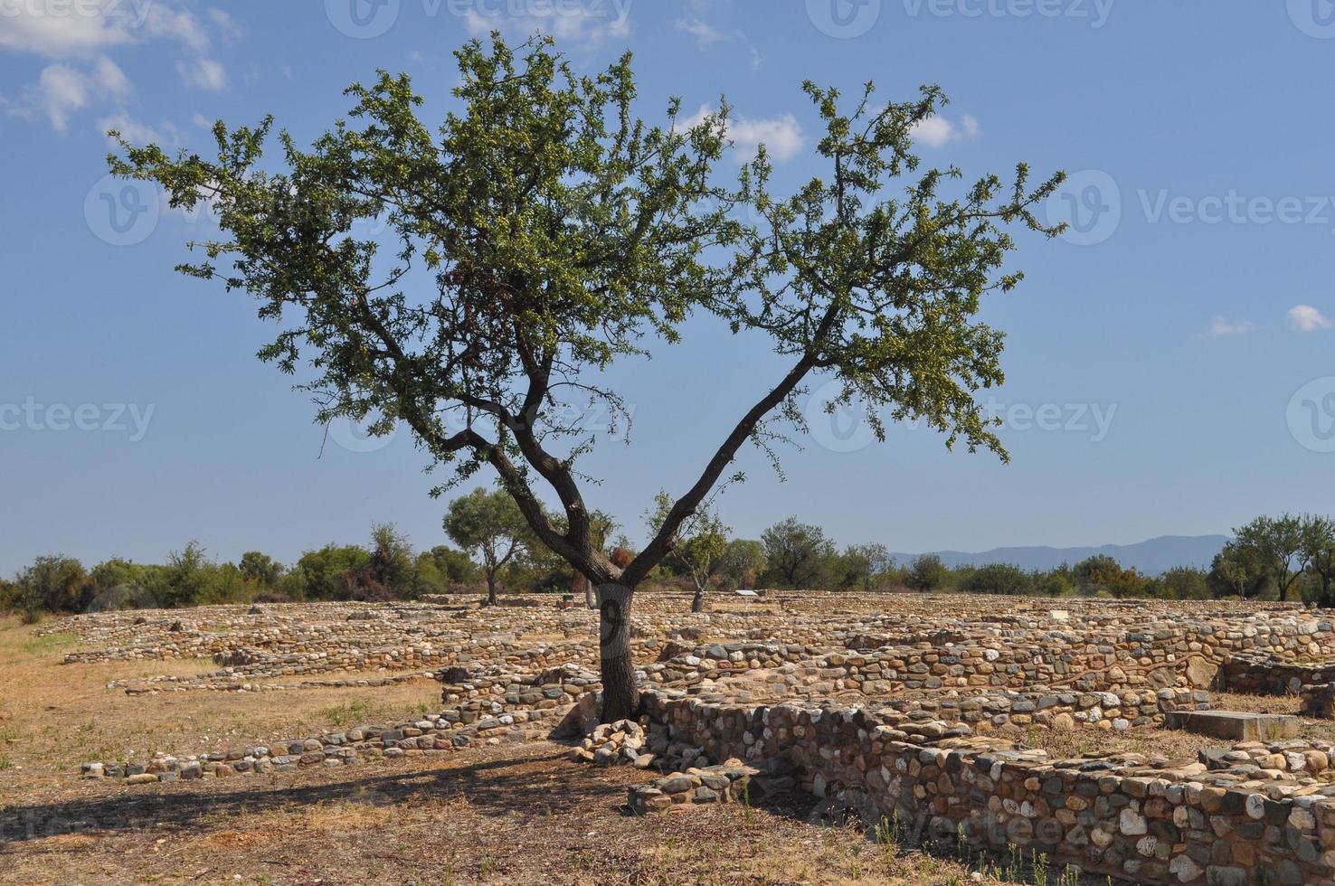 Olynthus ruins in Chalkidiki photo