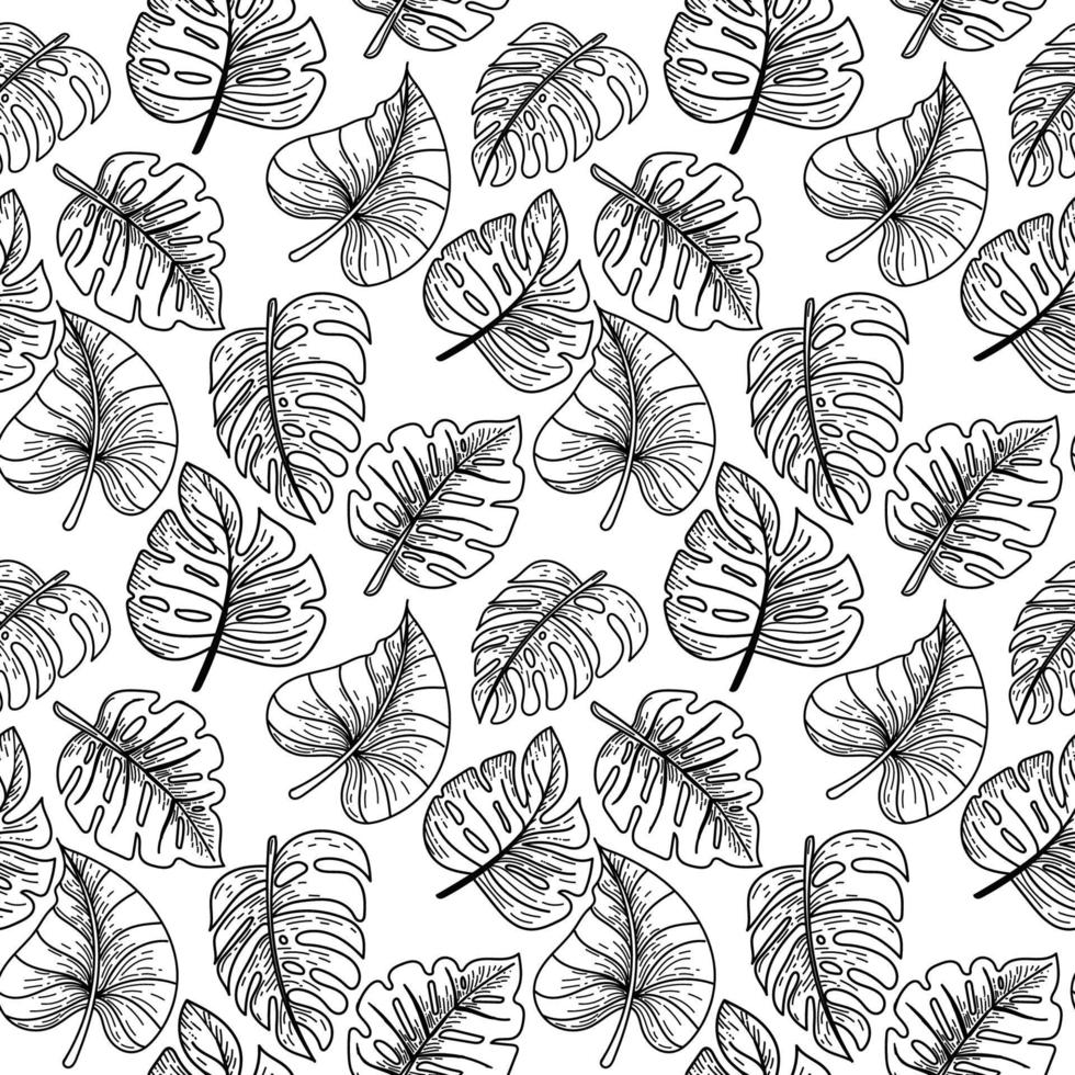 Seamless pattern depicting a tropical monster leaf. Leaves with scribble in sketch style. Tropics. Monster. Exotic leaves. Isolated vector illustration