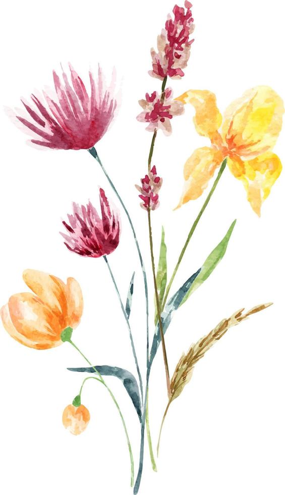 Watercolor bouquet of spring flowers.Decoration isolated on white background, bouquet of wild composition. vector