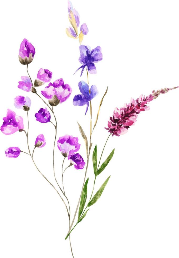 Watercolor bouquet of spring flowers.Decoration isolated on white background, bouquet of wild composition. vector