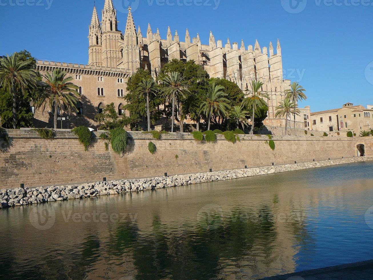 La Seu cathedral in Palma De Mallorca photo