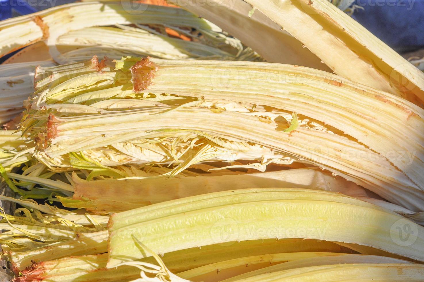 Carduus vegetables healthy vegetarian food cuisine photo