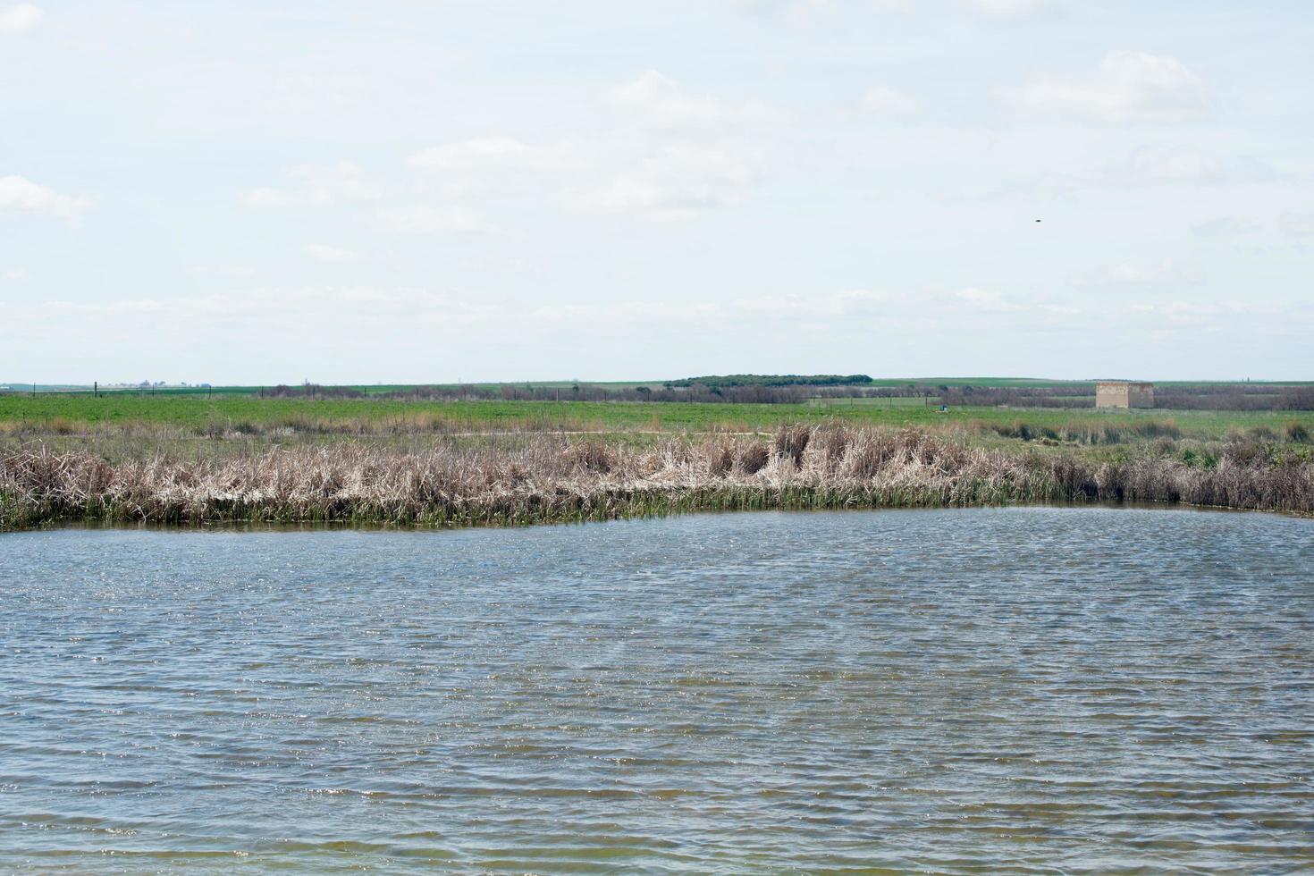 Lake at Villafafila, wellknown spot for bird watching. Zamora, Spain photo