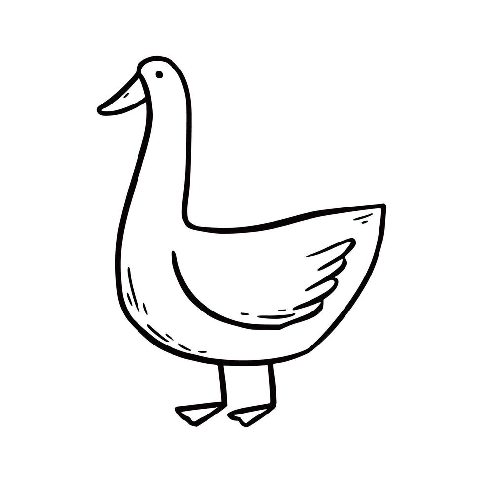 Hand drawn farm bird goose vector