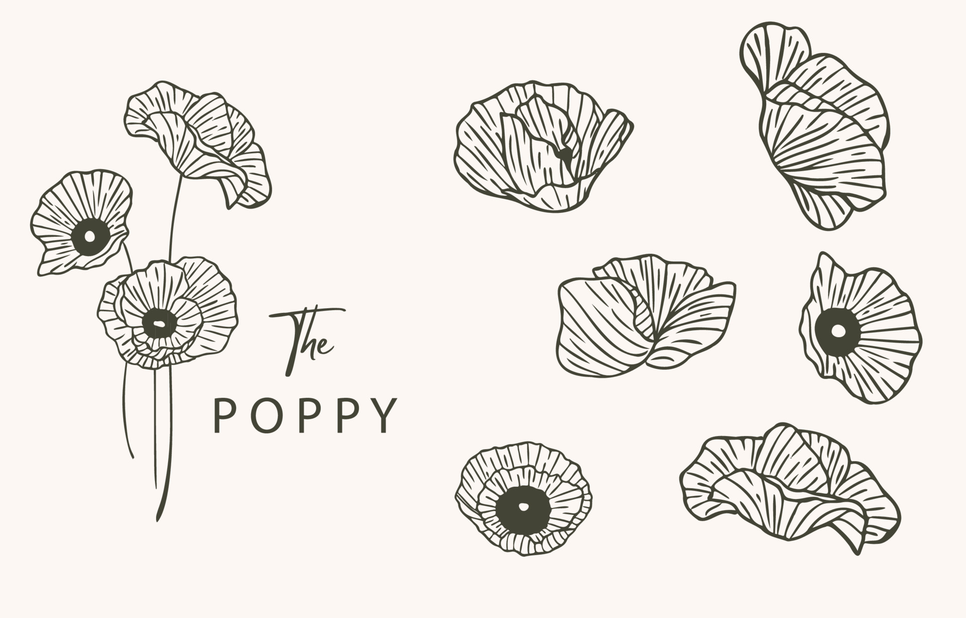 Wild Poppy tattoo by Pavla Poppy  Post 21438