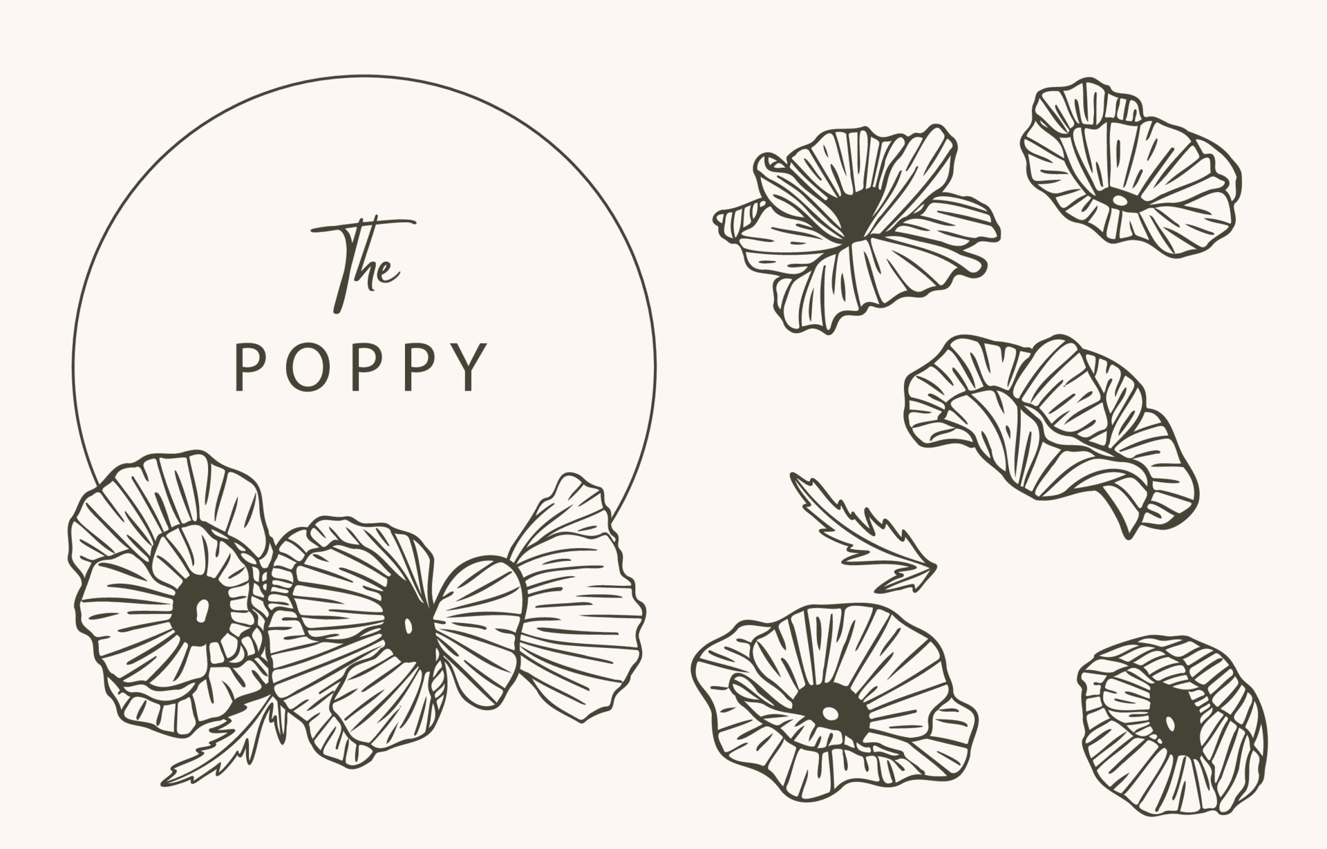 GreyCat Tattoo Studio  Flower rx COVER UP Black poppy flower  FREEHAND   Facebook