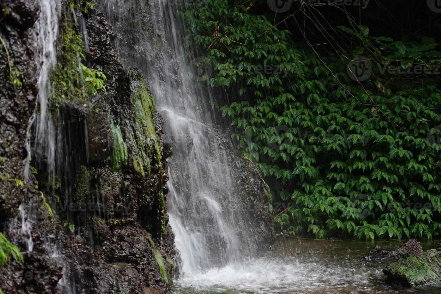 waterfall in the forest photo