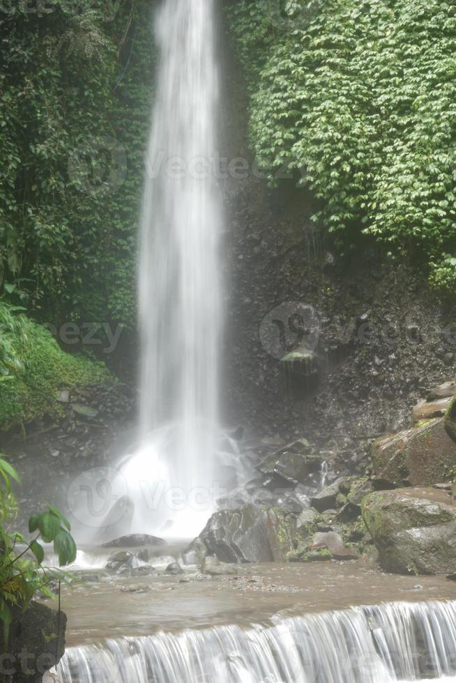 waterfall in the forest photo