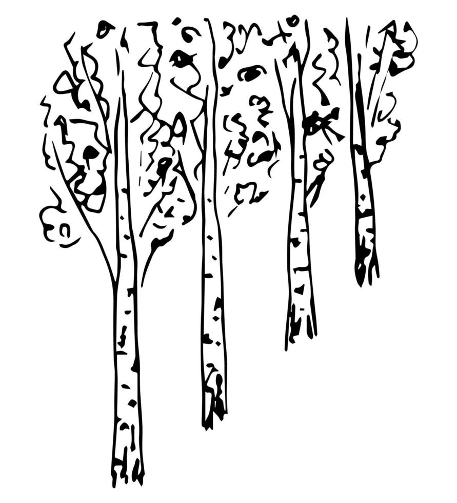 Hand-drawn simple vector sketch. A row of trees, an alley, a birch grove.