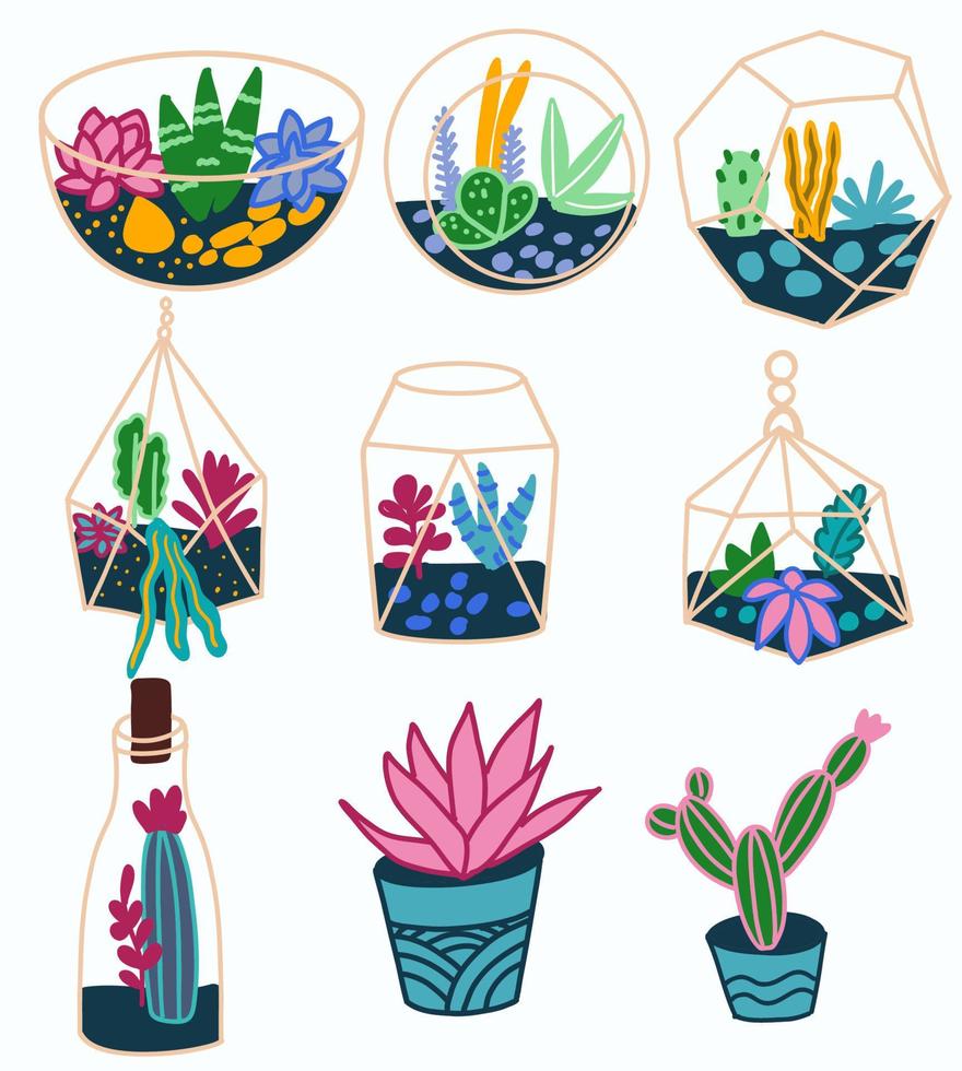 Succulents in glass and ceramic flower pots. vector