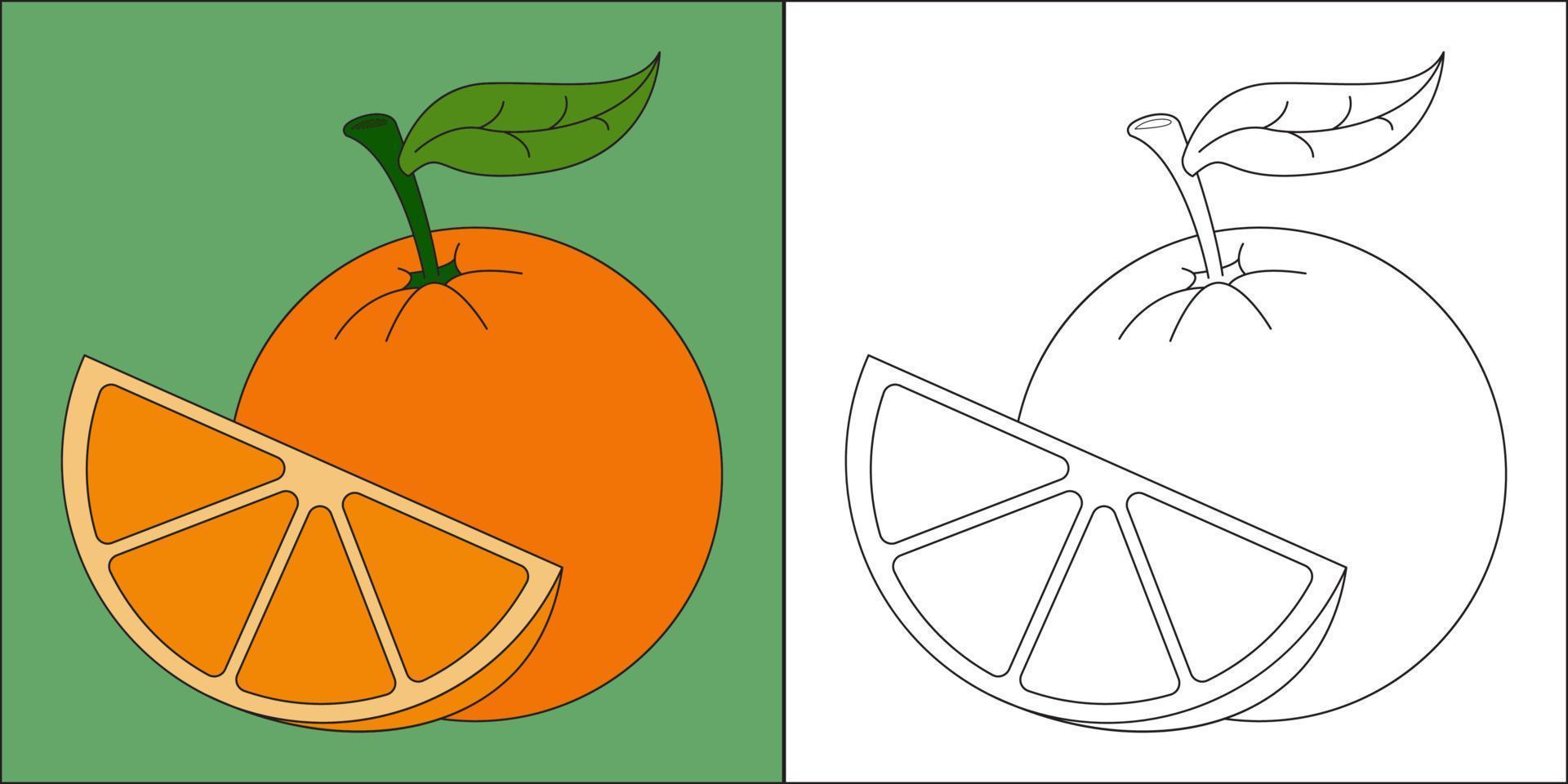 fruta naranja adecuada para la ilustración de vector de página de coloración infantil