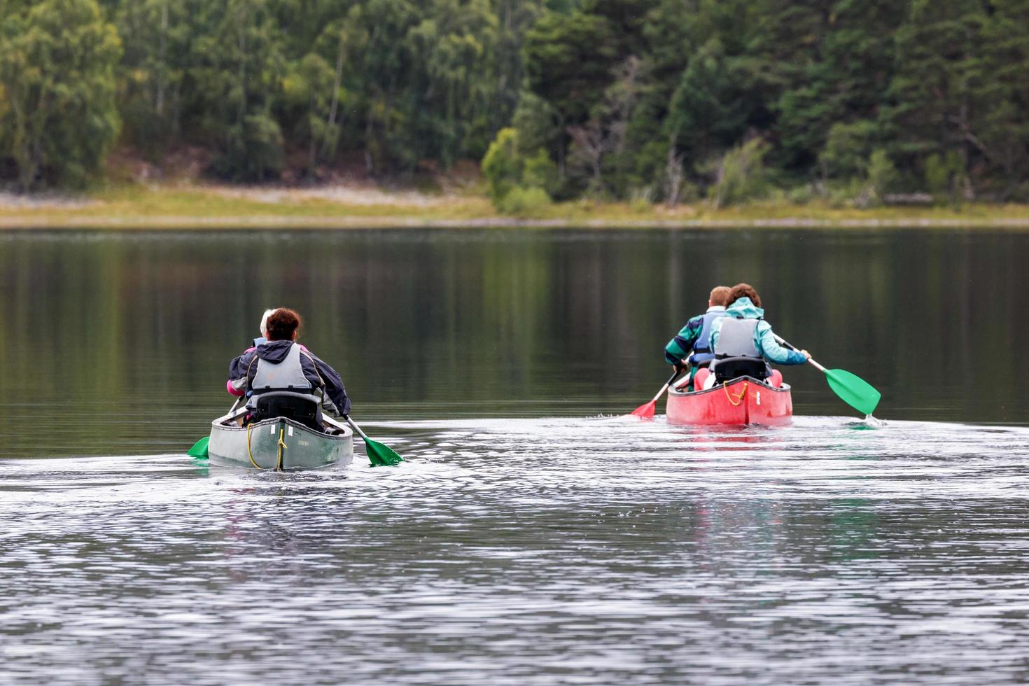 Loch Inch, Scotland, UK, 2015. People paddling a canoe photo