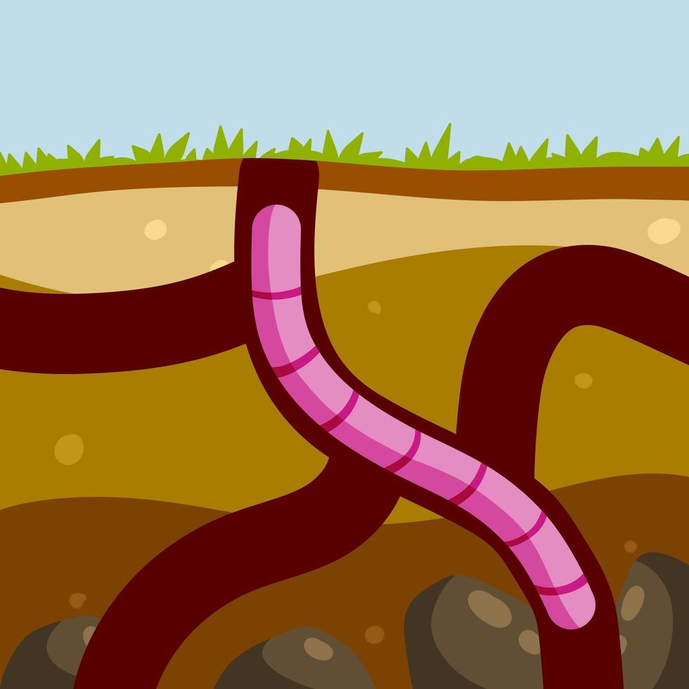 Worm in the ground. Burrows and passages. Nature and the insect. vector