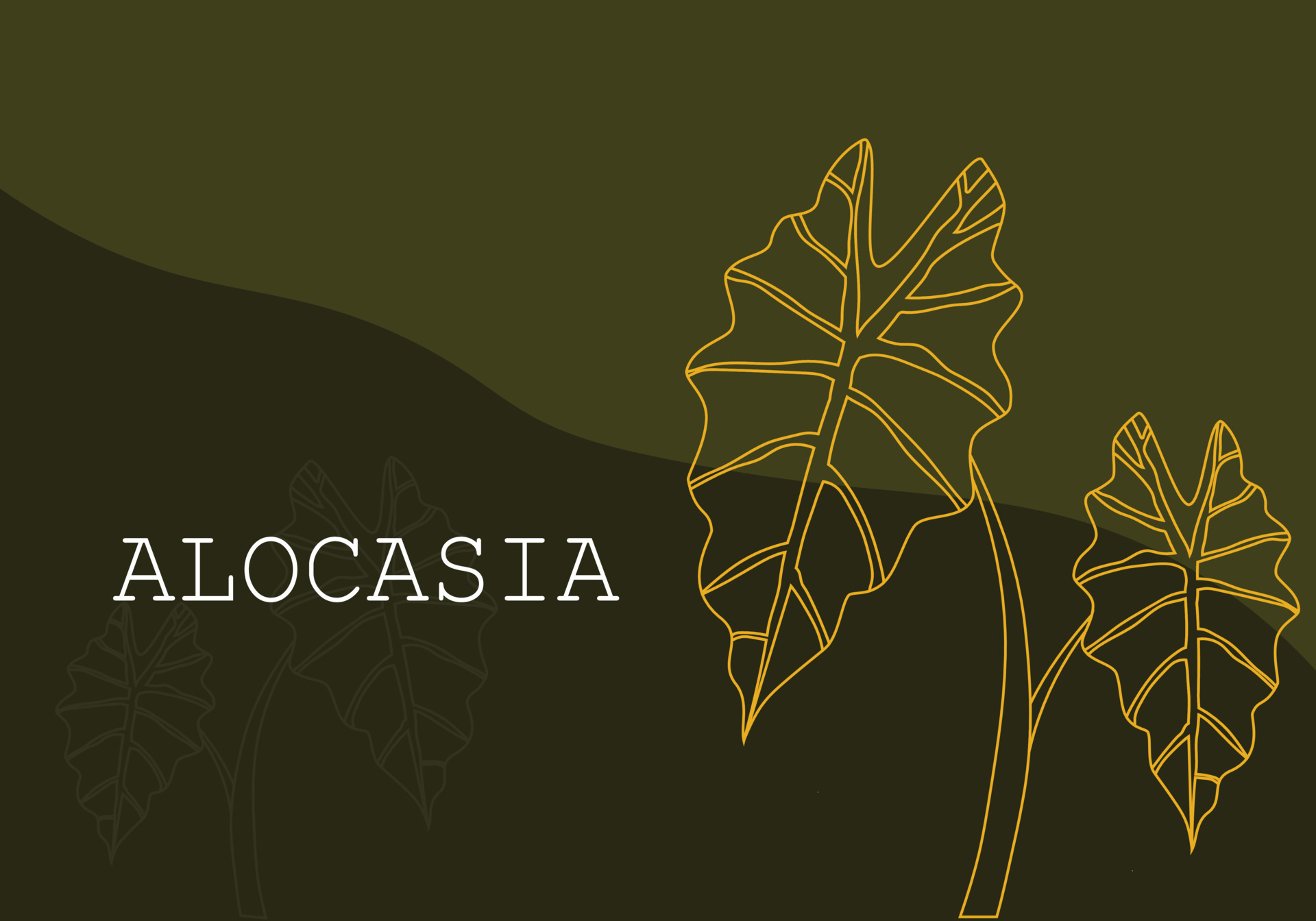 Alocasia leaves a vector with dark green background. 7334758 Vector Art