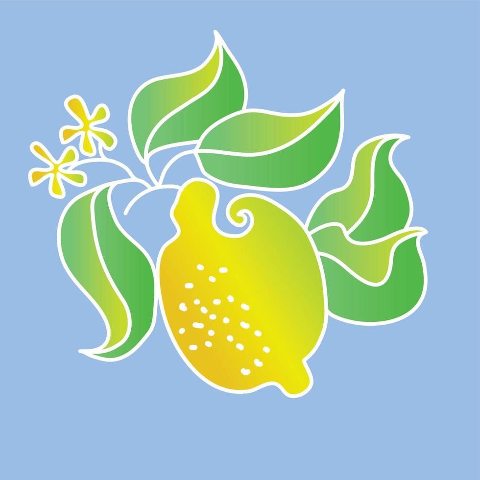 Decorative lemon fruit vector illustration clip-art.