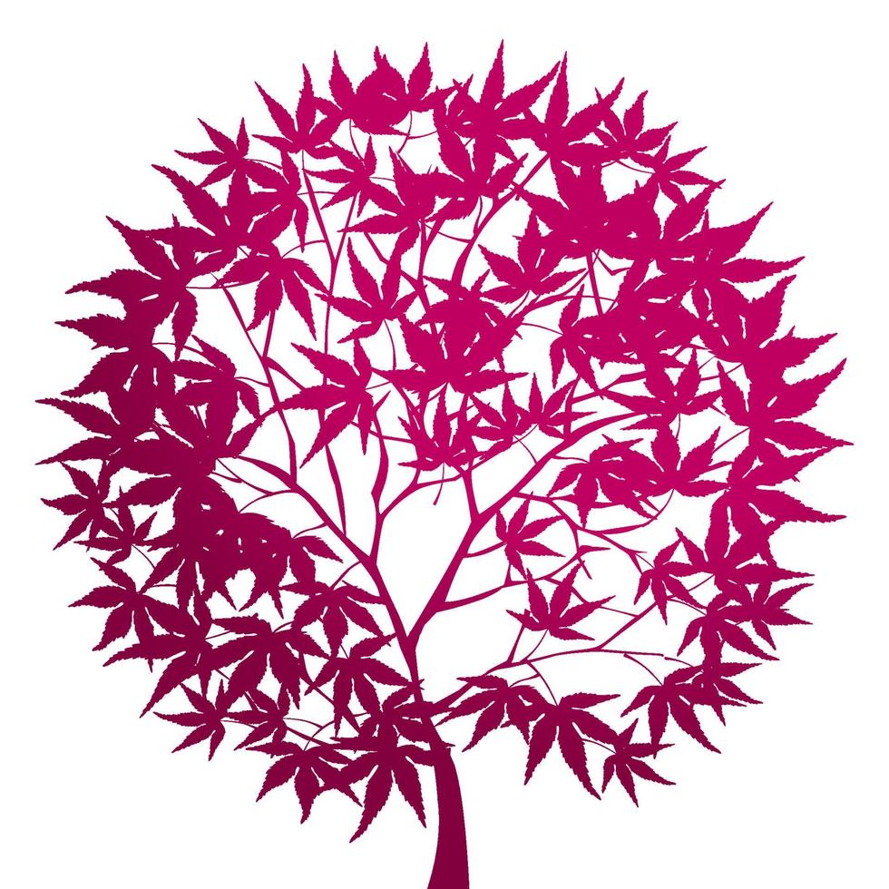japanese maple vector silhouette