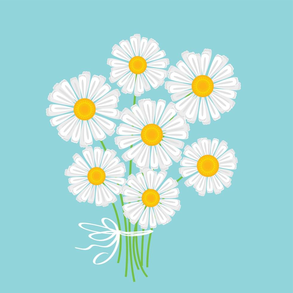 cute simple white daisy bouquet vector