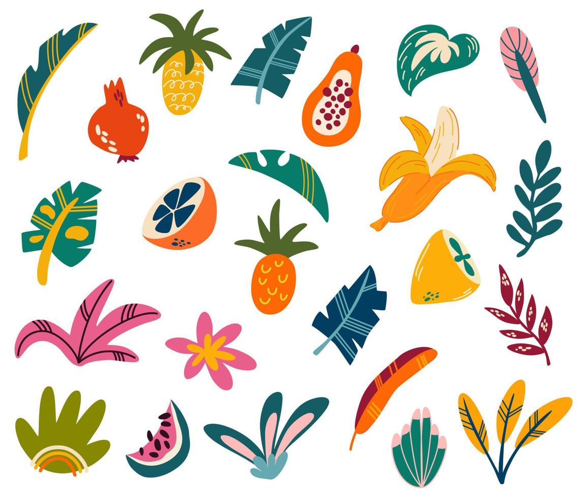 frutas tropicales y hojas. colección exótica de frutas dulces y hojas de palma. perfecto para imprimir, postales, impresiones y carteles. ilustración de dibujos animados de vectores