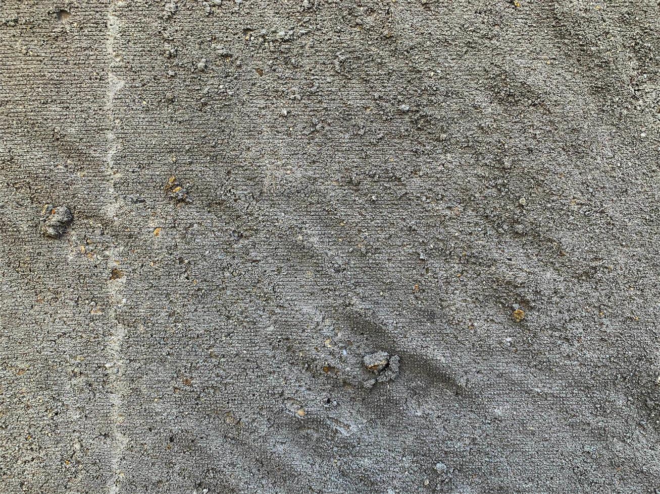 Concrete wall background. Cement wall texture photo