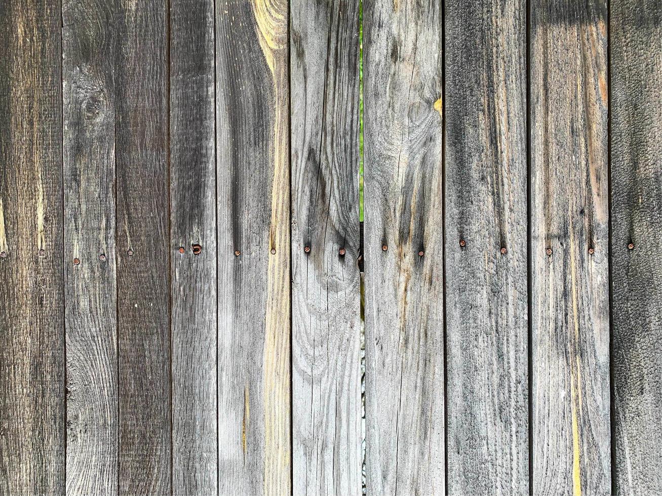 Wooden wall background. Fence backdrop. Plank made from wood photo