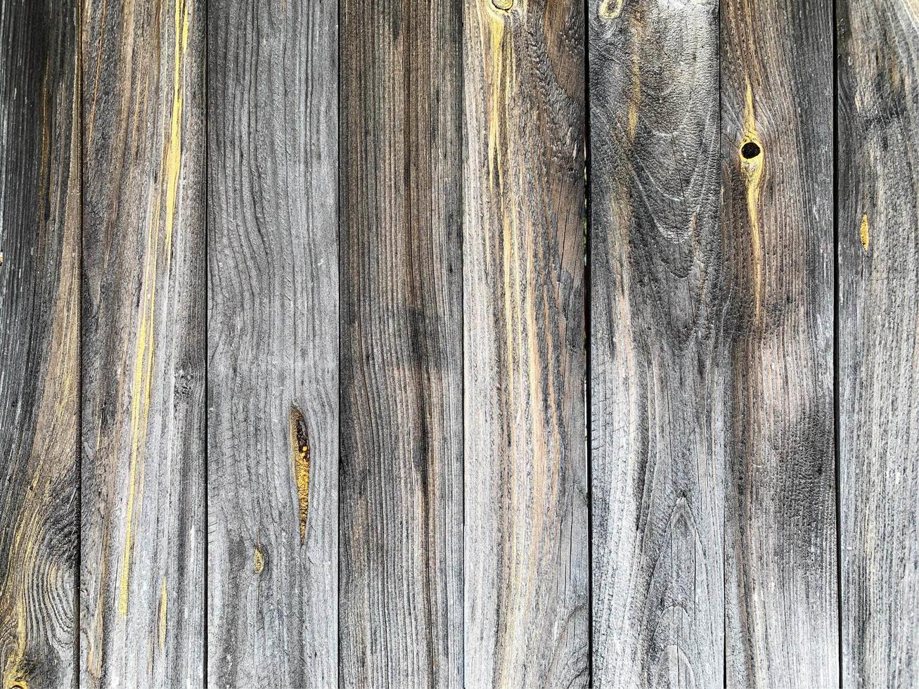 Wooden wall background. Fence backdrop. Plank made from wood photo