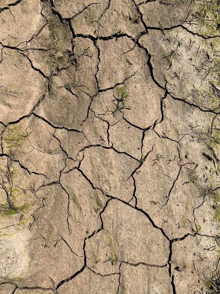 Mountain rock background. Rock texture. Stone backdrop photo