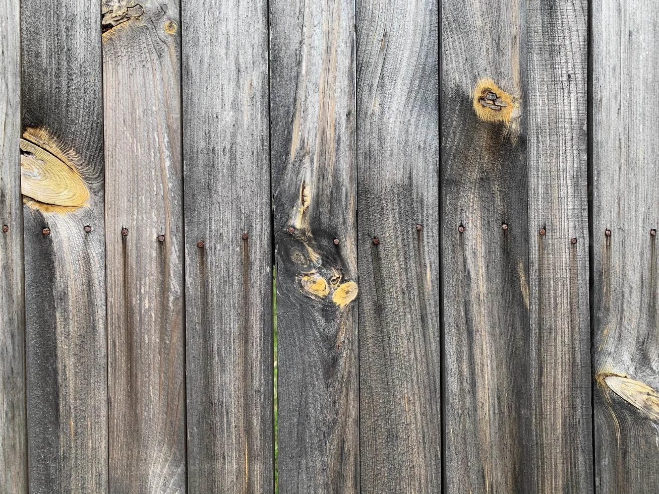 Wooden wall background. Fence backdrop. Plank made from wood photo