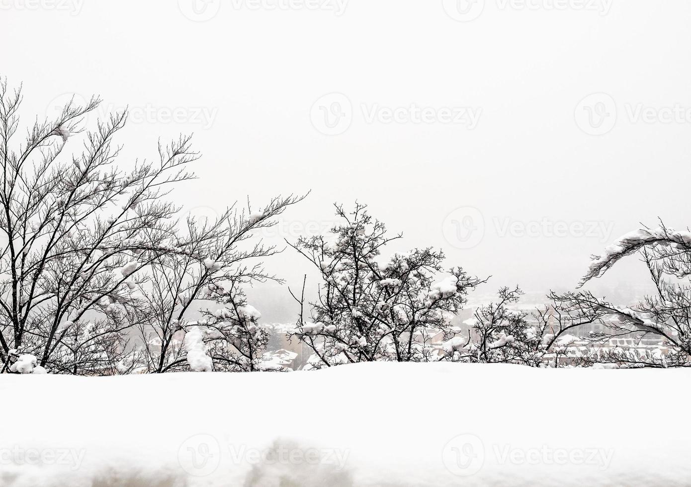 HDR Turin view under snow photo