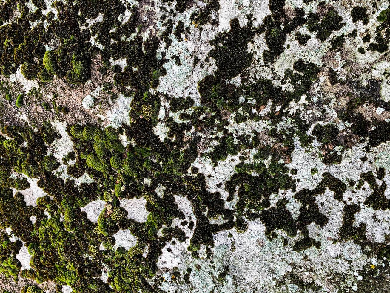 fondo de roca de montaña. textura de roca telón de fondo de piedra foto