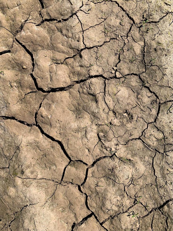 Mountain rock background. Rock texture. Stone backdrop photo